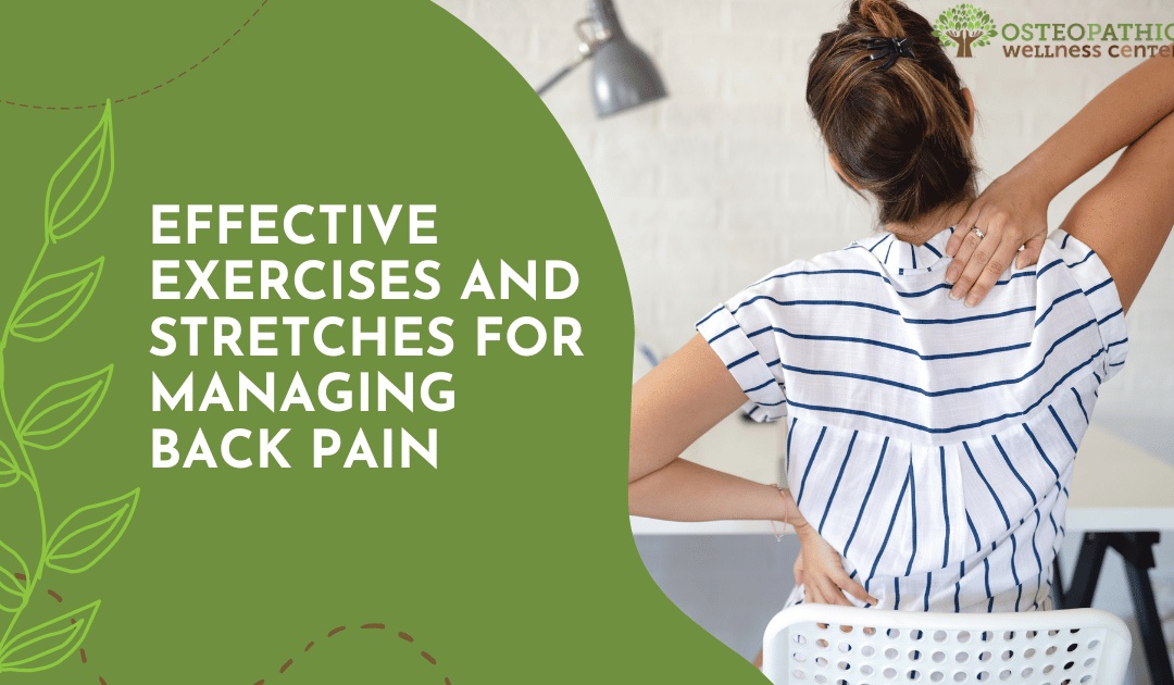 Effective Exercises and Stretches for Managing Back Pain