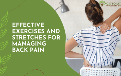 Effective Exercises and Stretches for Managing Back Pain